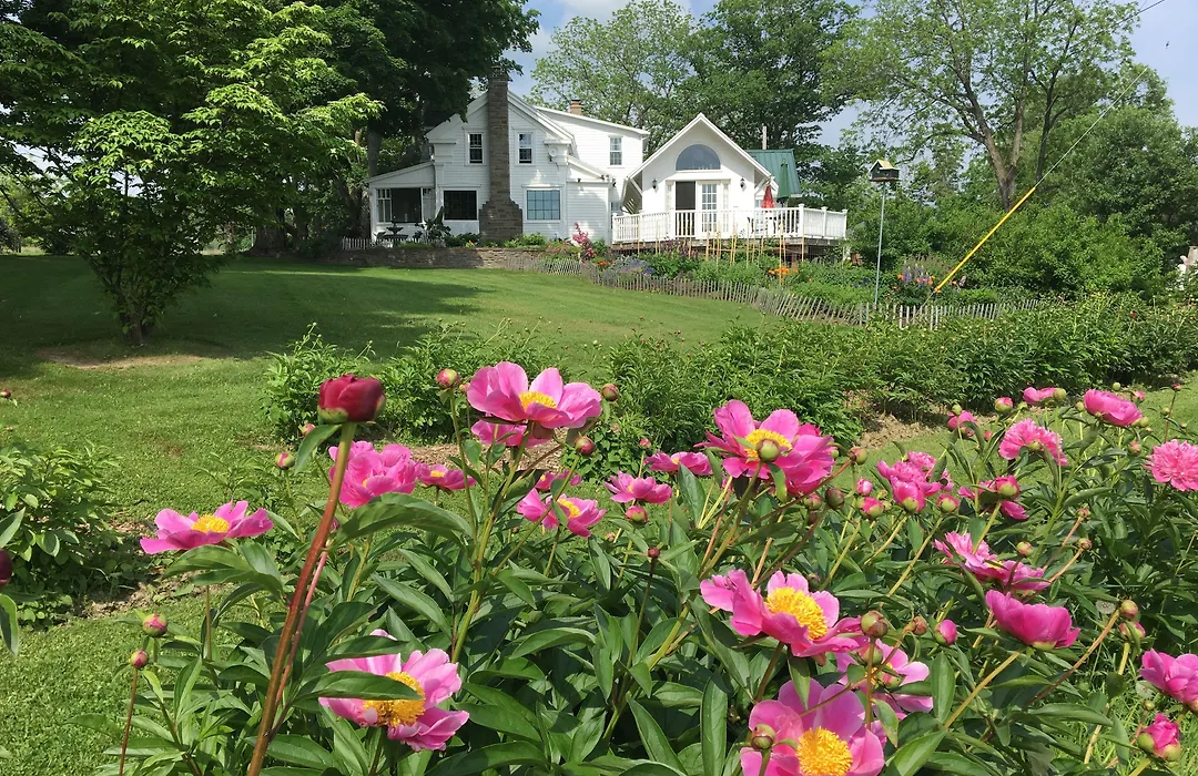 Enfield Manor Bed&Breakfast And Vacation Rental-1